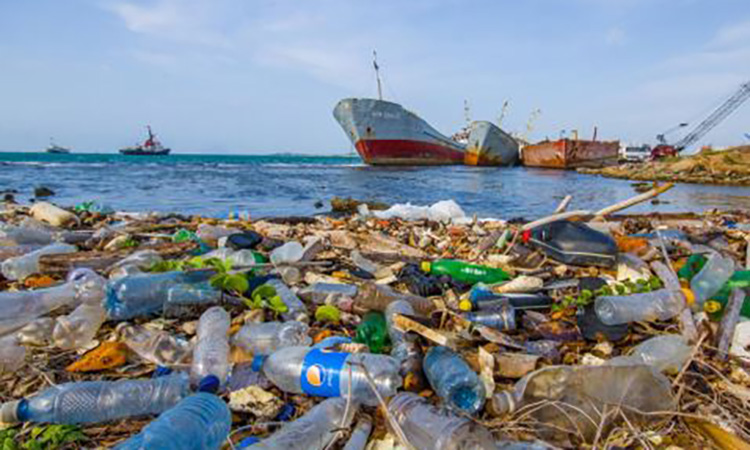 تاثیرات مضر پلاستیک بر طبیعت