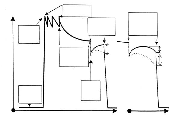 تست خط پلی اتیلن پی ای اس (P.E.S)